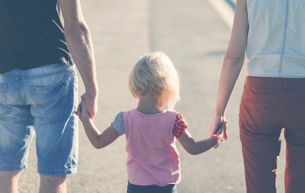 Family Transitions in Zaltbommel