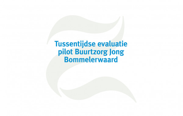 Tussentijdse evaluatie Zaltbommel en Maasdriel